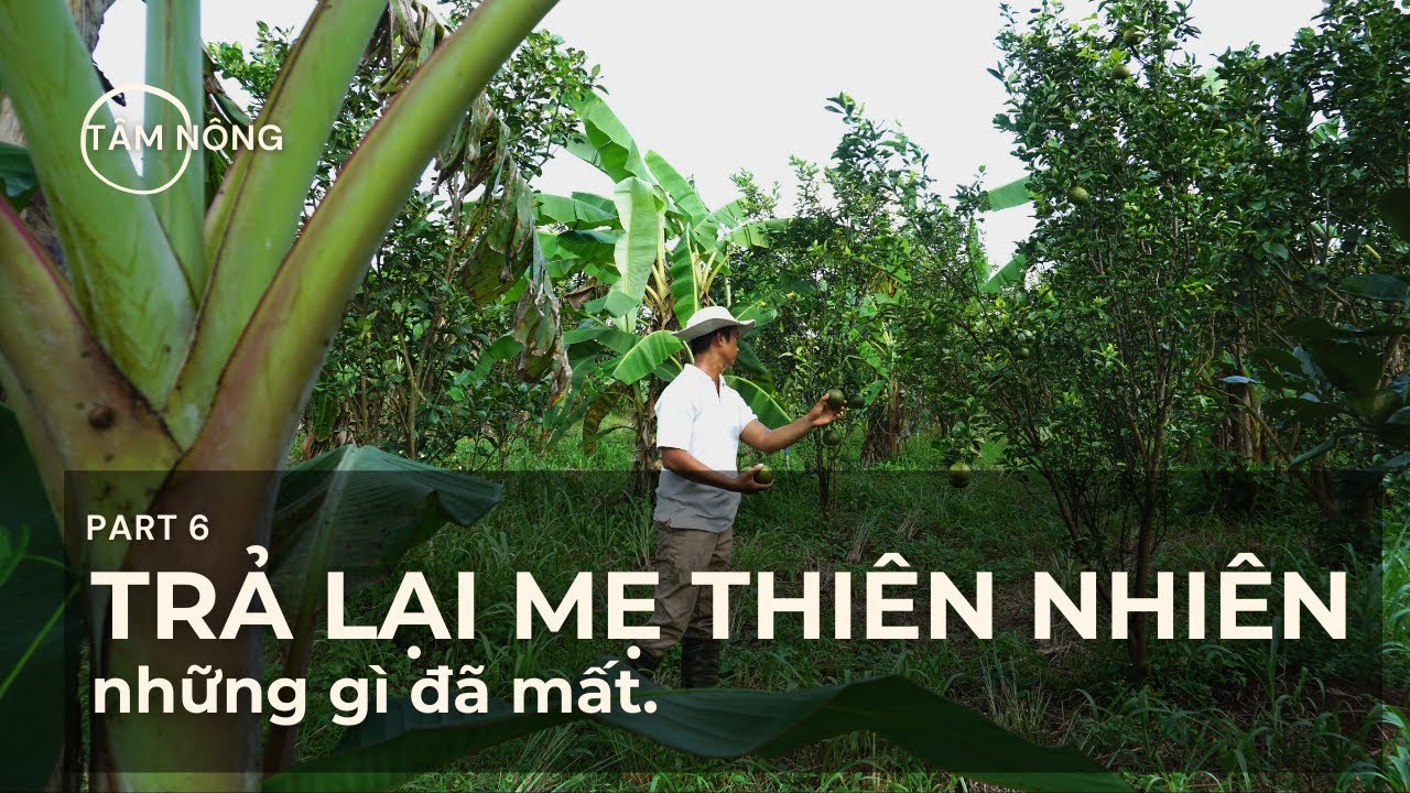 TRẢ LẠI CHO MẸ THIÊN NHIÊN NHỮNG GÌ ĐÃ MẤT | TÂM NÔNG PART 6