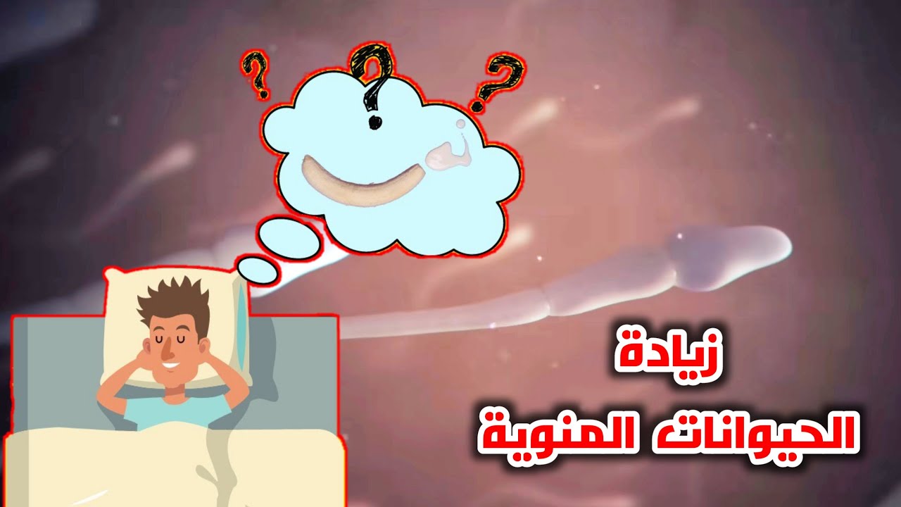 زيادة عدد الحيوانات المنوية وتعويض كمية السائل المنوي المفقود اثناء العادة السرية او الجماع