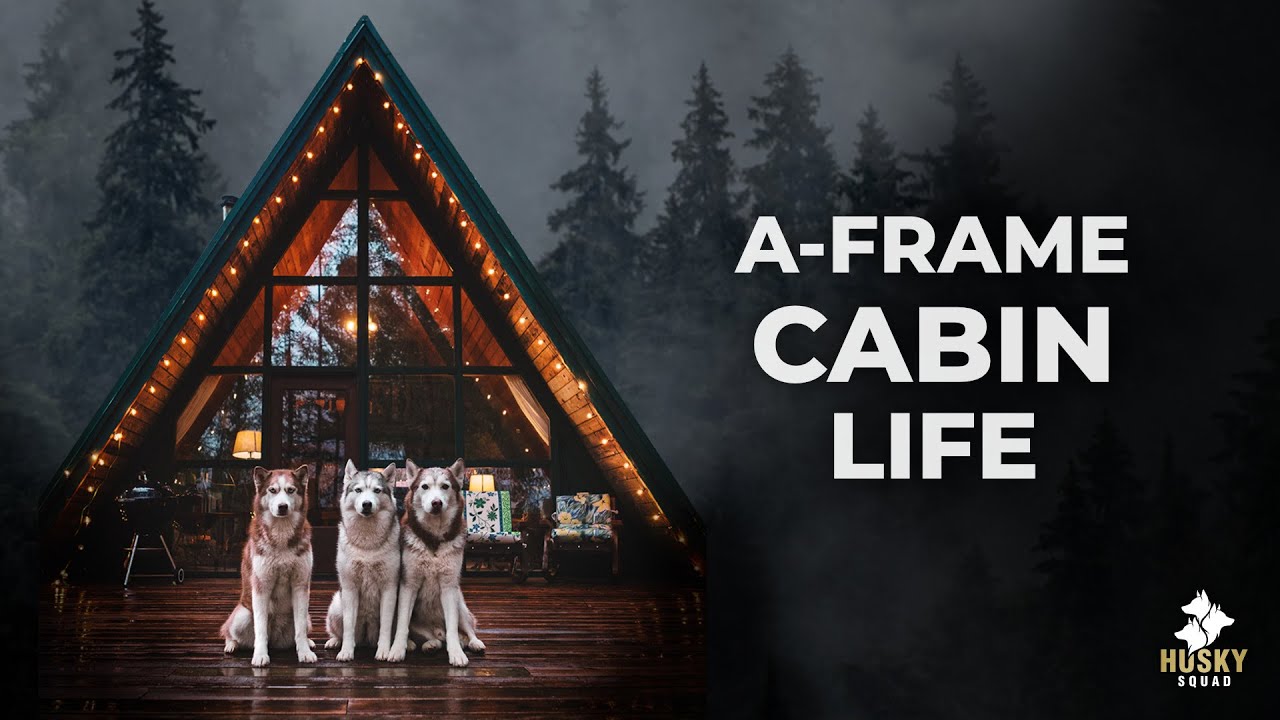 Washington A Frame Cabin With The HUSKY SQUAD