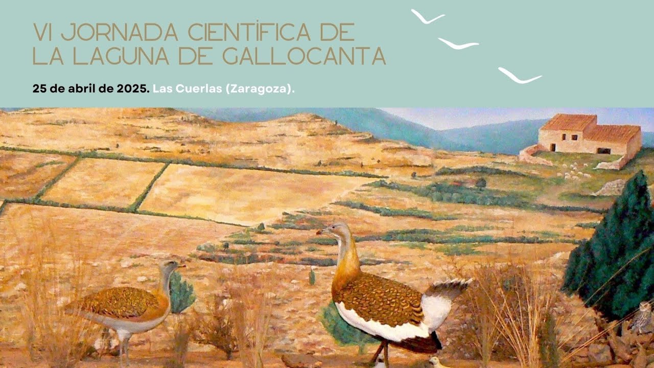 VI Jornada Científica de Gallocanta | Resumen de la jornada