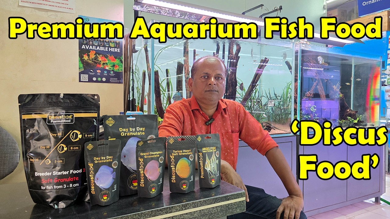 Корм для дискусов 🐟 | Самый лучший корм для дискусов: объяснение 🔥 | Рост, окраска и здоровье