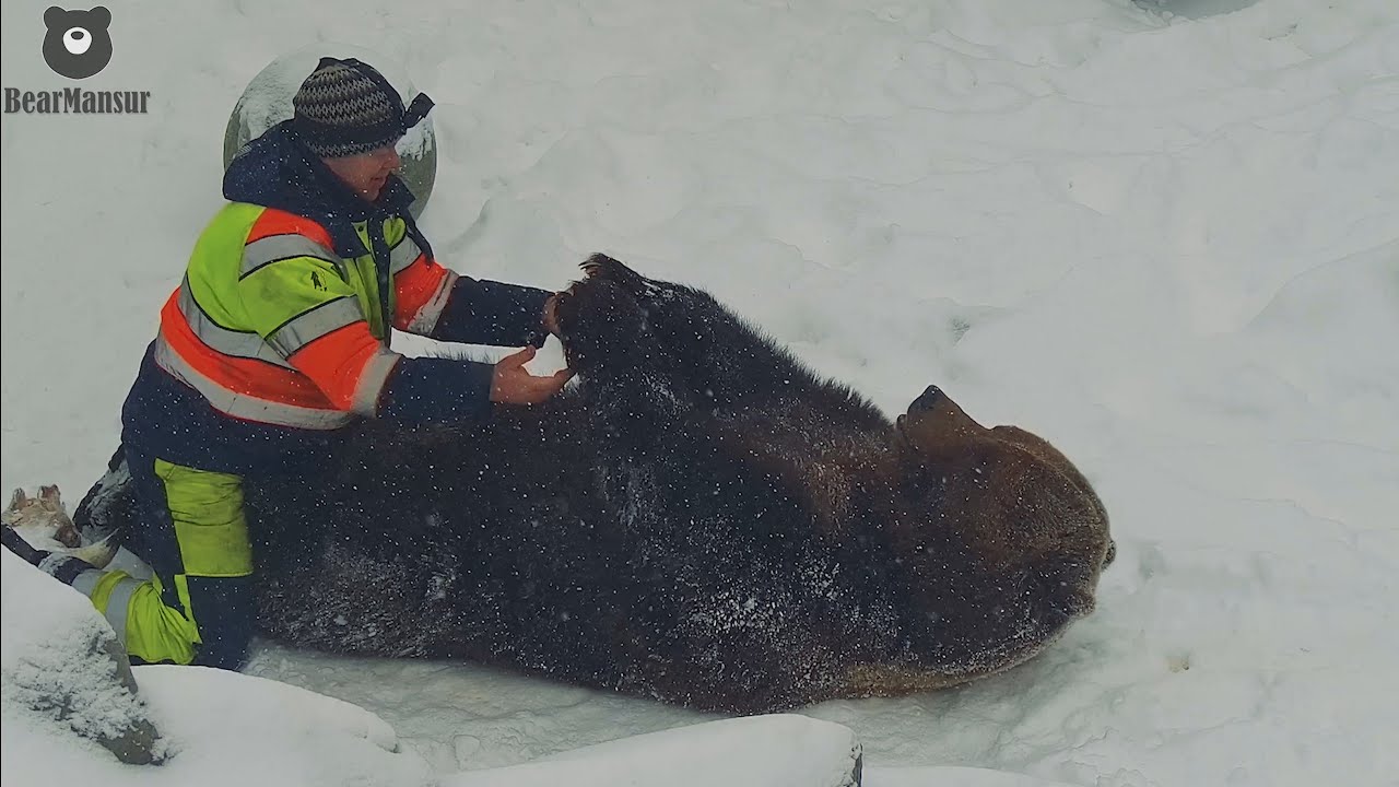 Мы игрались на снегу валялись🐻❄️