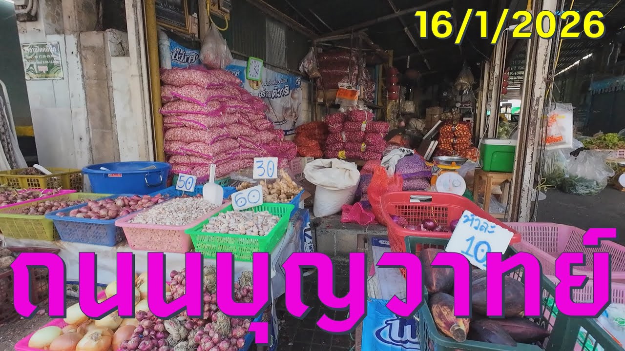 #trip4k : ถนนบุญวาทย์ ลำปาง ไทย 16/1/2026