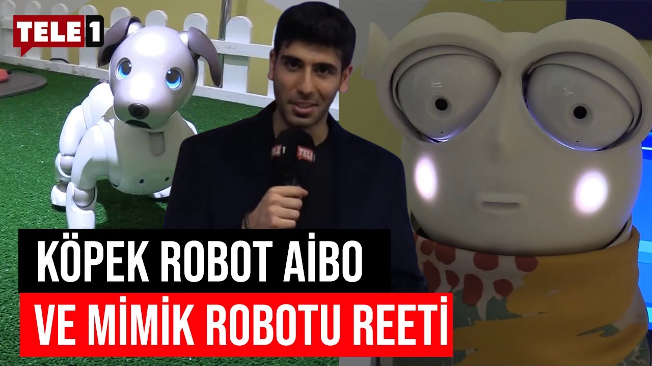 Robotlar ve yapay zekanın ulaştığı en uç noktayı görmek için Robotlar Şehri'ndeyiz!