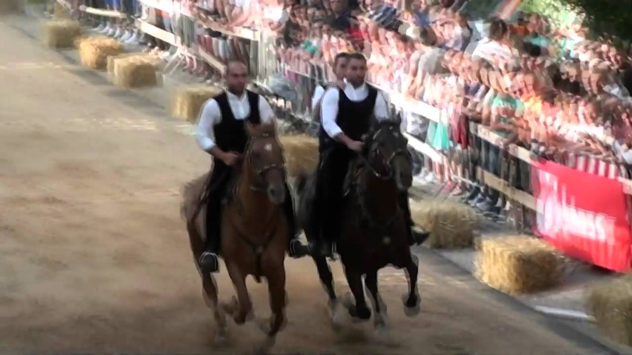 Nurri Pariglie 2015  festa del formaggio e della pecora