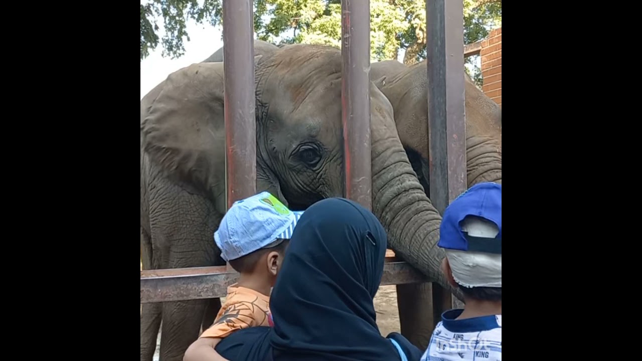 Karachi Zoo