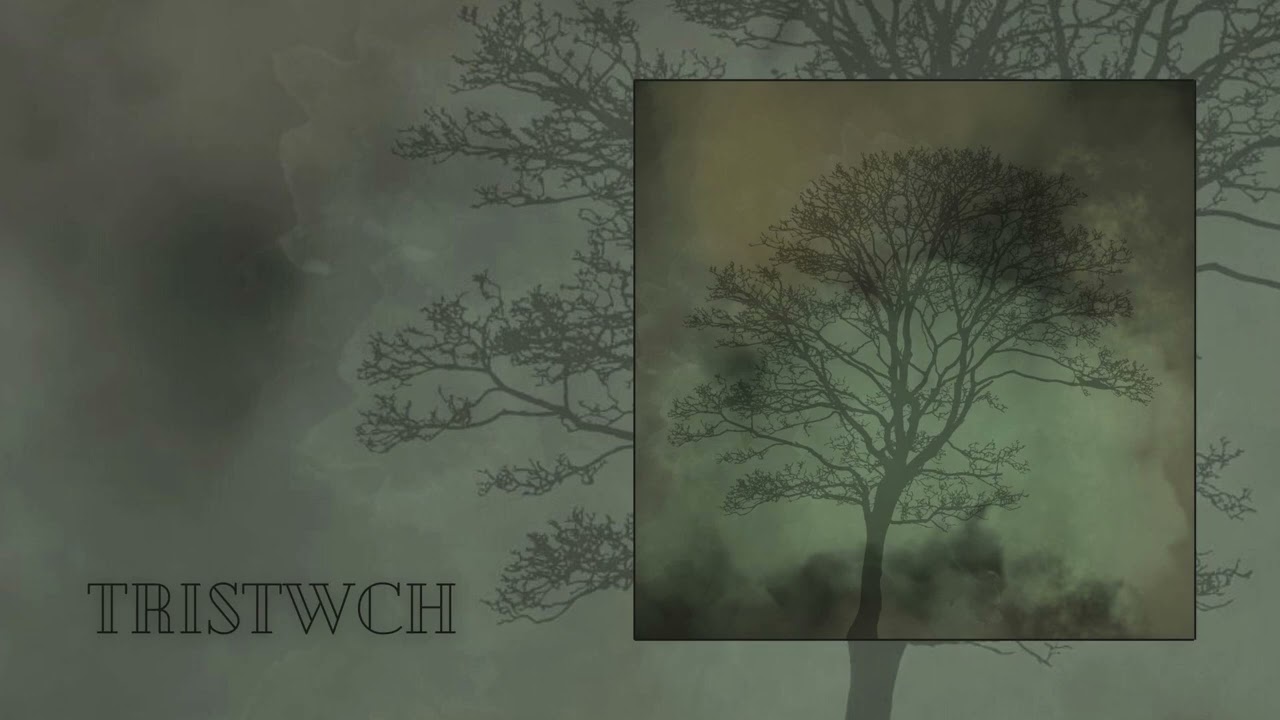 TRISTWCH - TRISTWCH#1