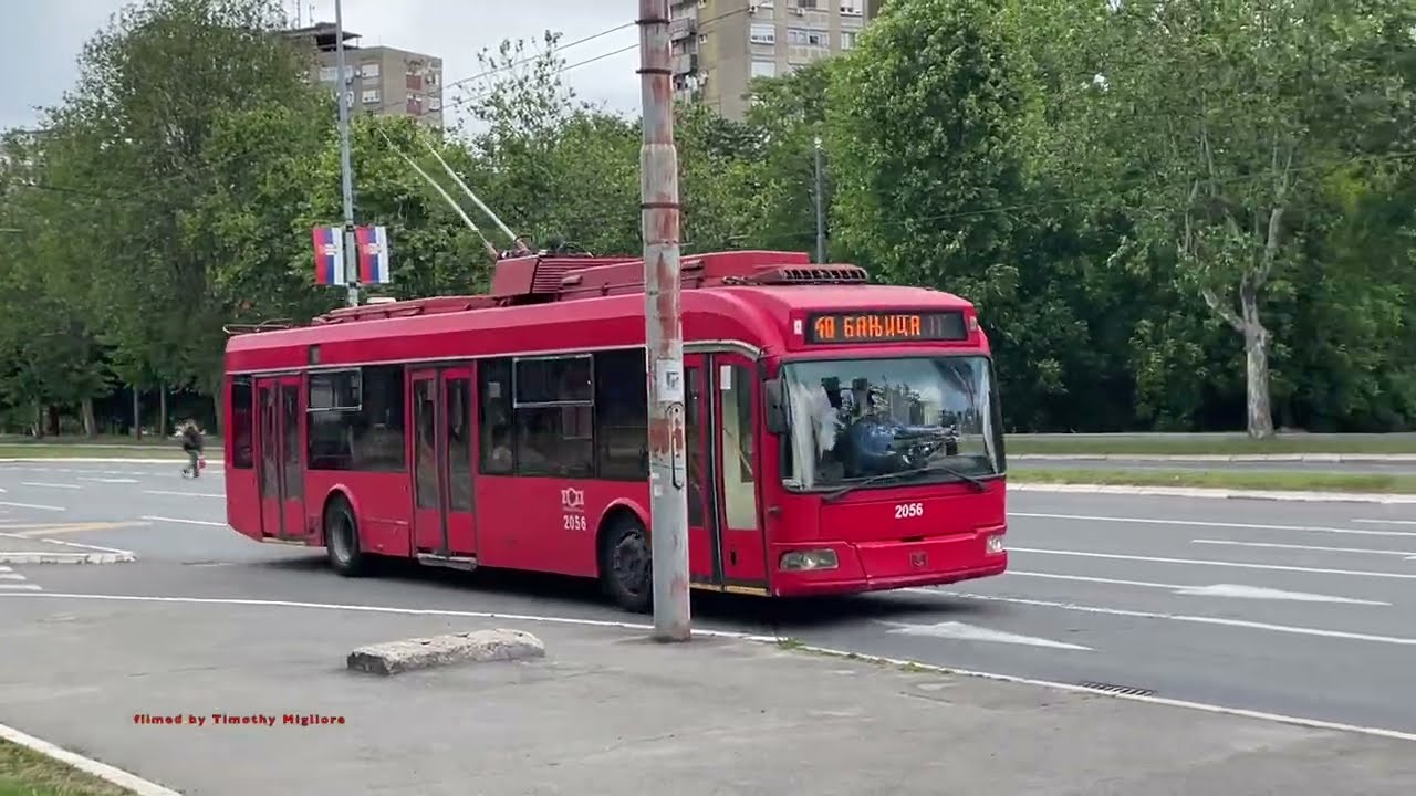 Trolleybuses in Belgrade, Serbia 2025 -  тролејбуси