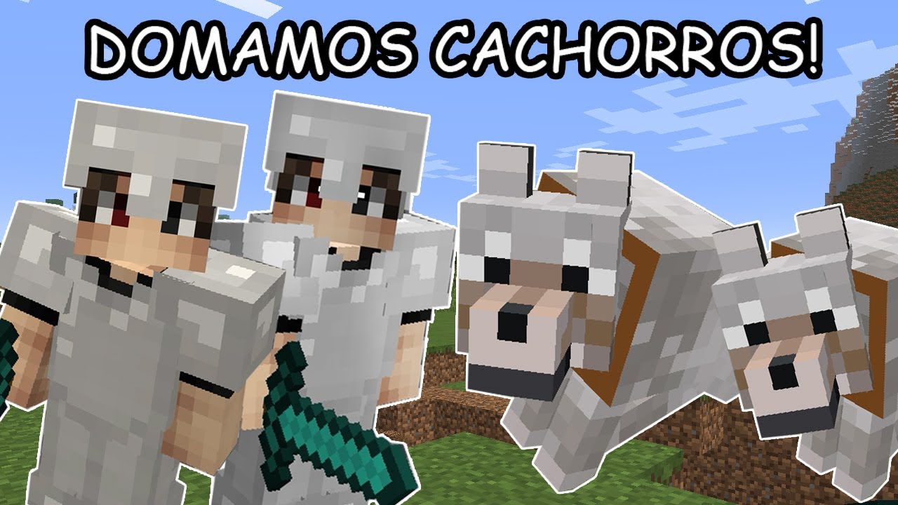 DOMAMOS CACHORROS NO MINECRAFT!!! #10