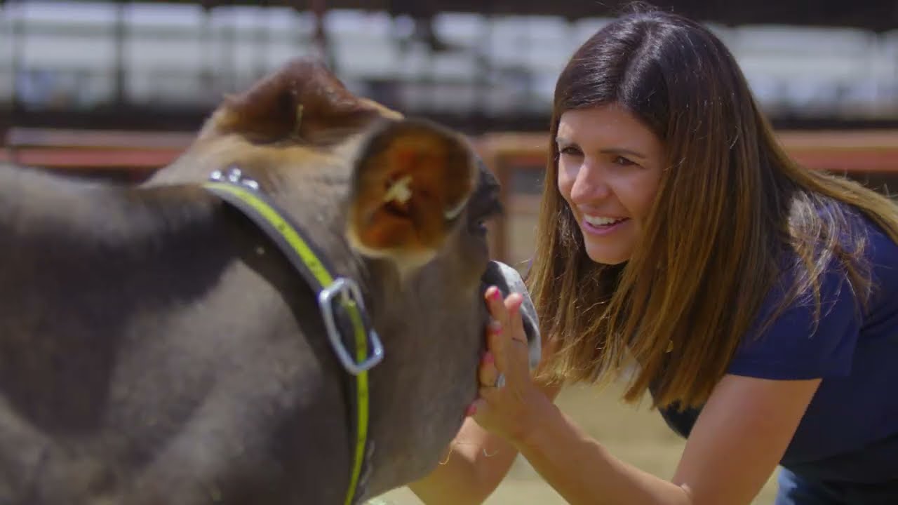 What Does Sustainable Farming Look Like? | On Her Farm