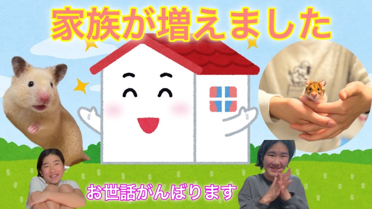 ハムスターをお迎えした１週間後に悲劇が起こった