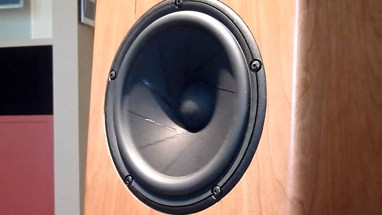Scanspeak monitor 18W