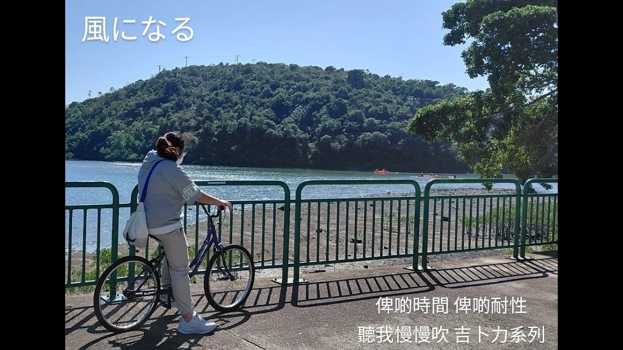 Alice Chow 周謙柔 yano Tsuji  猫の恩返し 貓的報恩 貓之報恩『風になる 』Flute Coverフルート長笛版
