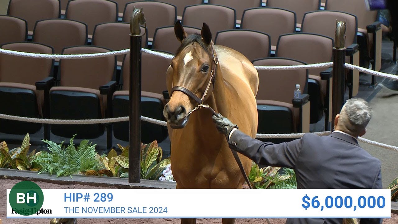 McKulick Brings $6M at F-T November