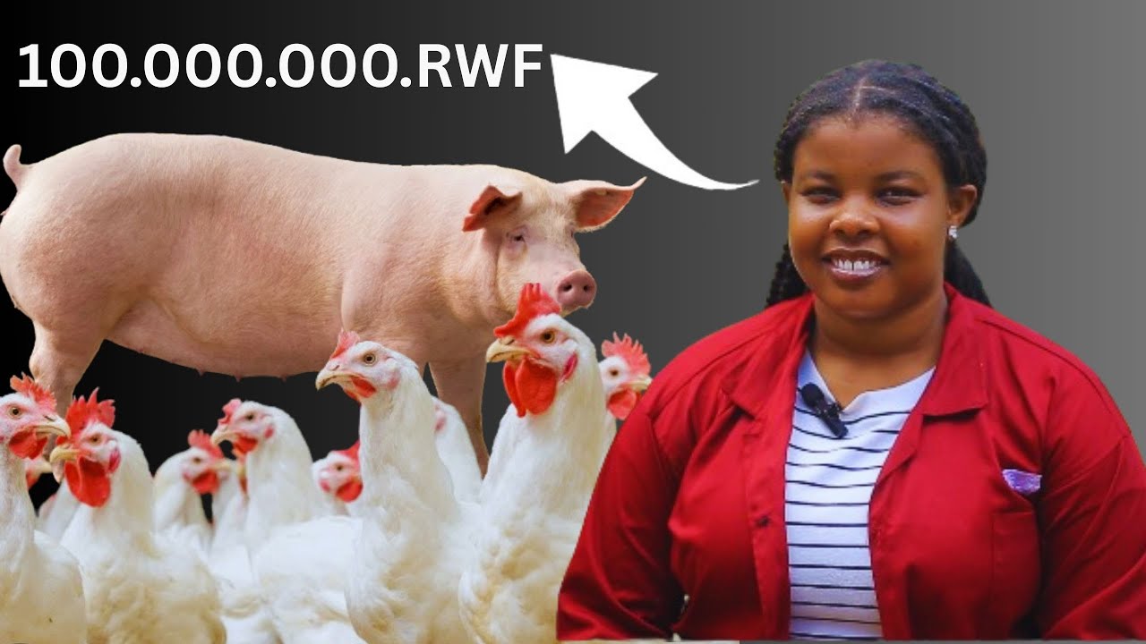 UBWOROZI BUGIRA AMAFARANGA MENSHI! DORE IBISUBIZO KU BIBAZO WAGIRA UGIYE KUBIKORA KINYAMWUGA!