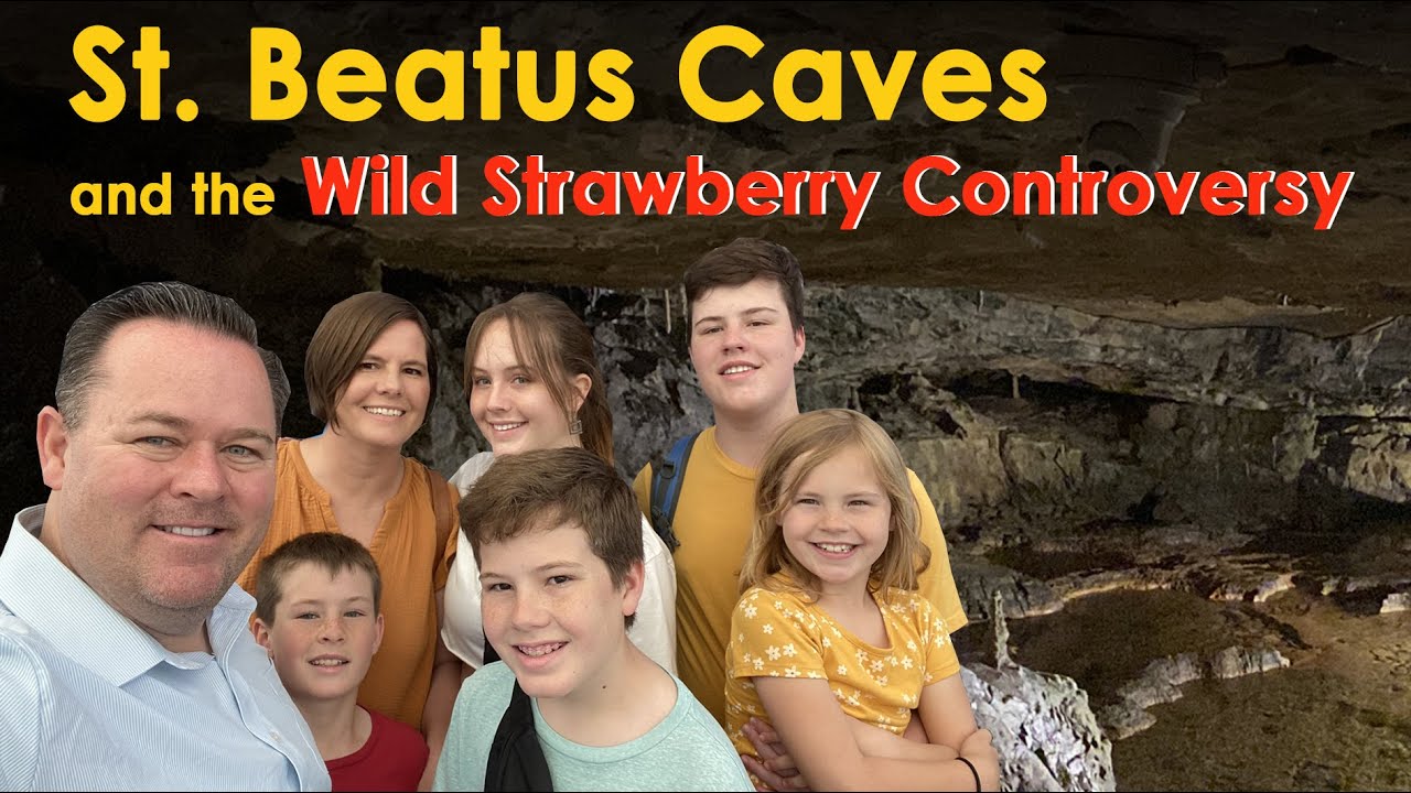 St. Beatus Caves and the Wild Strawberry Controversy