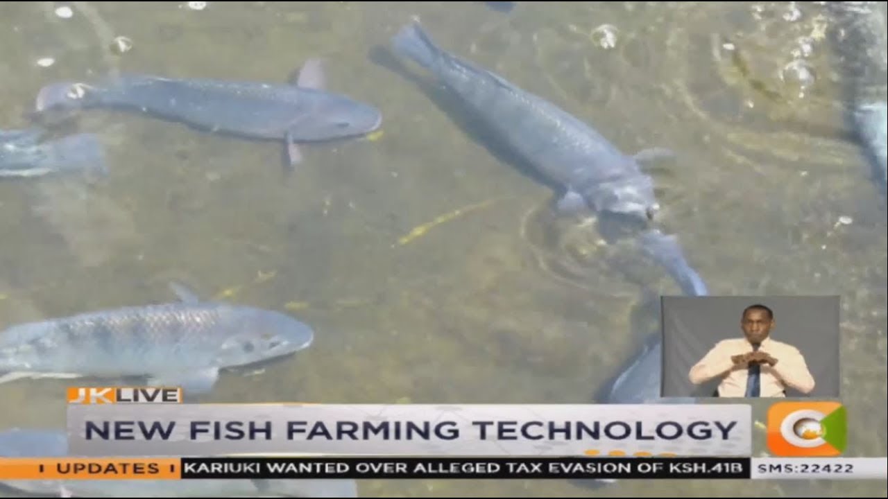 | SMART FARM | New Fish Farming Technology