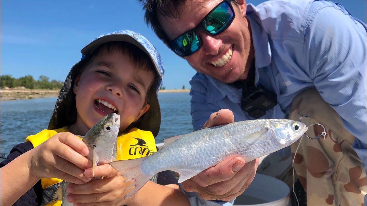 BIG LIVE BAITS & LURES GET SMASHED Fishing Adventures in Weipa - Cape York