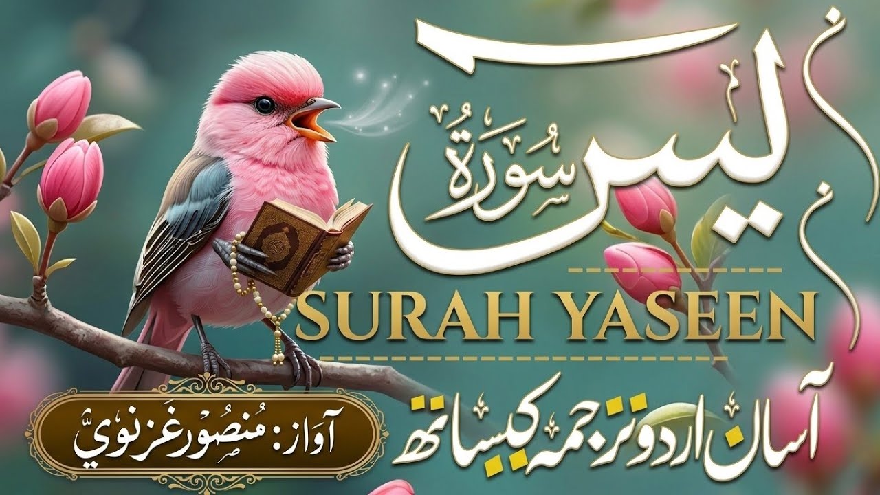 Surah Yasin ( yaseen ) With Urdu Translation |(سورة يس )🌿 Quran with Urdu and Hindi Tarjuma |Epi 005