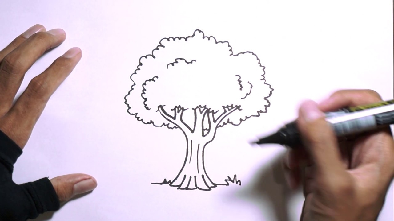 Cara Menggambar Pohon |  How to draw a tree
