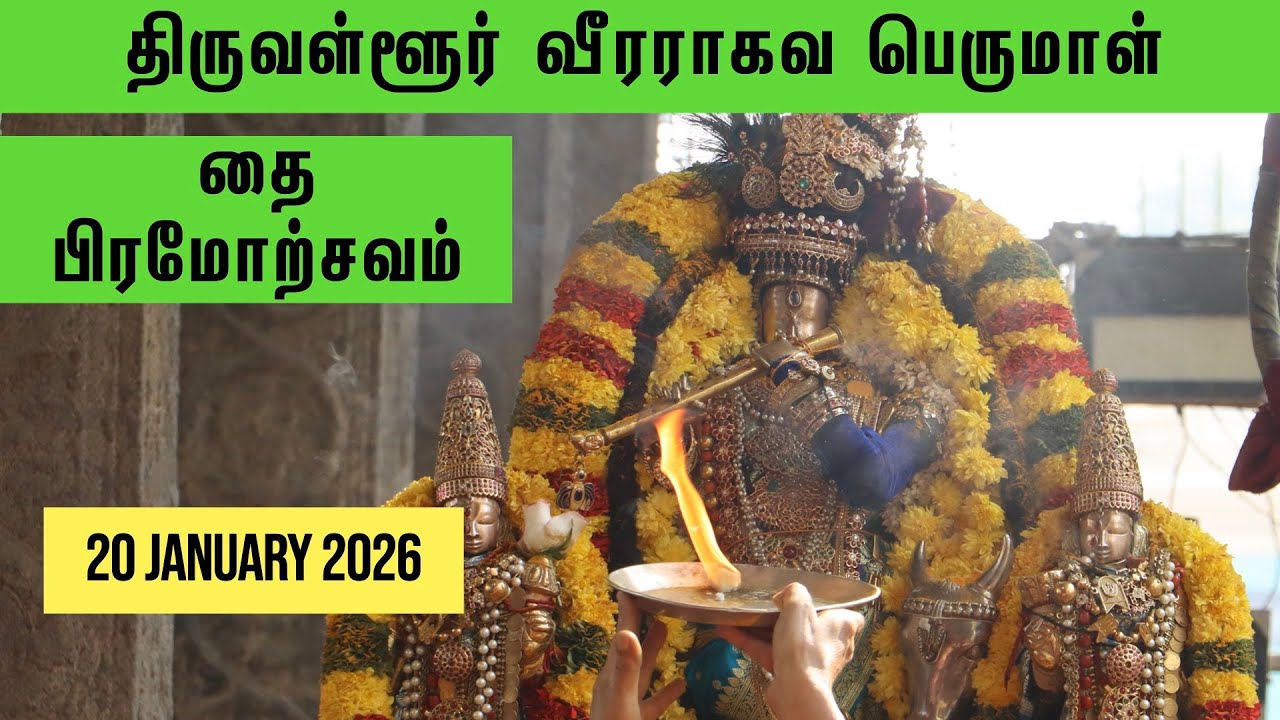 தை பிரம்மோத்சவம் வேணுகோபாலன் திருக்கோலம் வைத்திய வீரராகவப்பெருமாள்