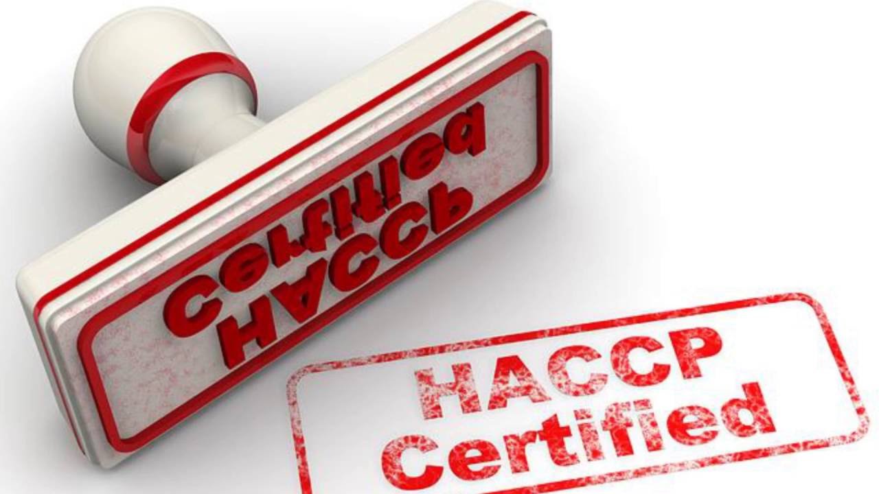 How to Get a Free HACCP Plan in 4 Easy Steps