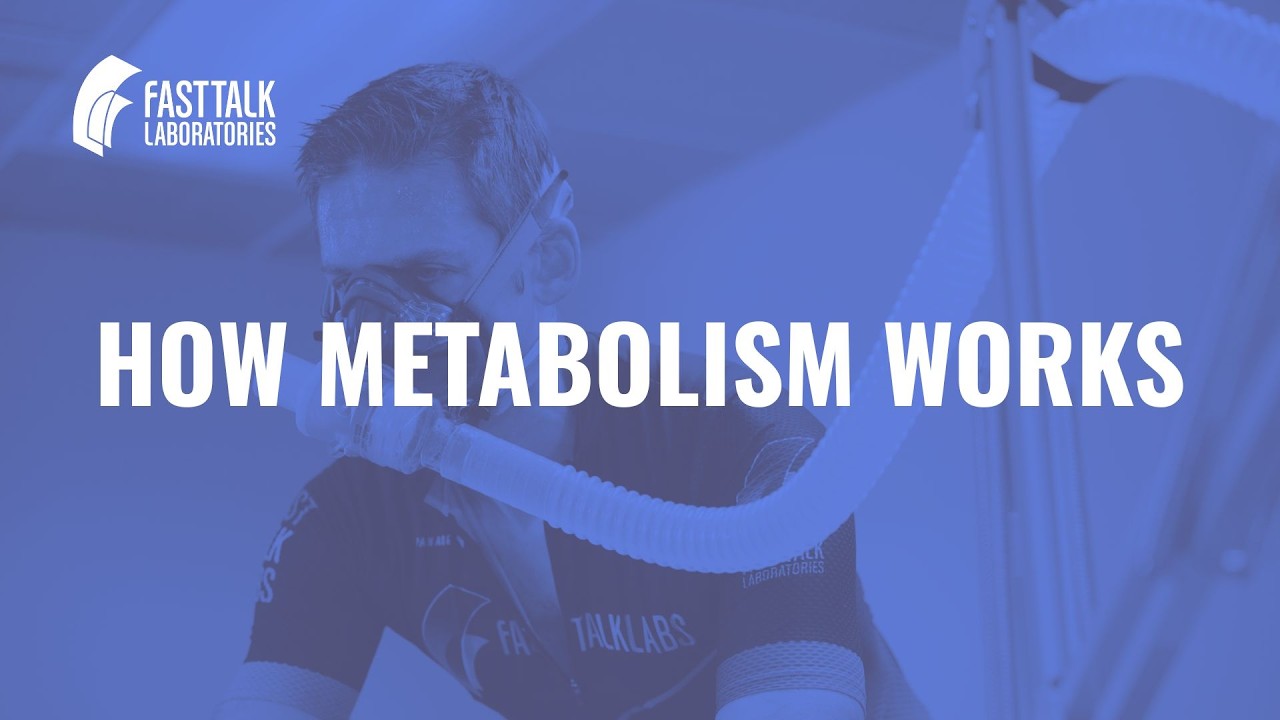 Metabolism Explained: How Your Body Produces Energy for Endurance Performance