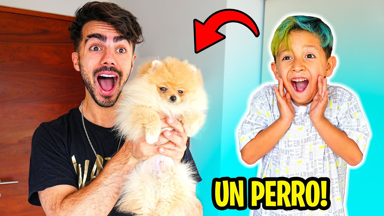 LE REGALO UN PERRO A MI VECINO POR SU CUMPLEA&Ntilde;OS!