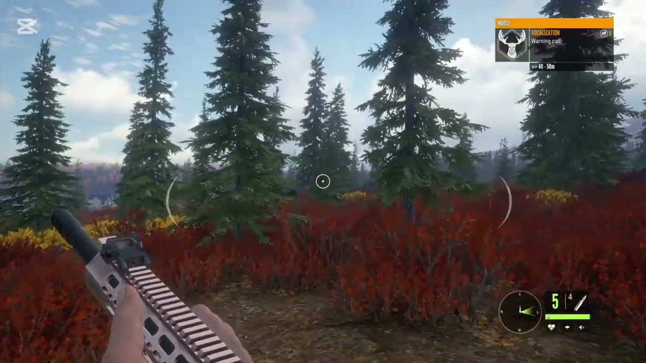 I got jumped by wolves 