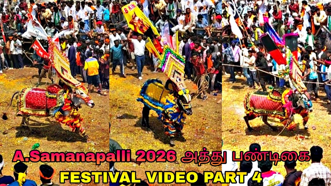   A.Samanapalli 2026 அத்து பண்டிகை FESTIVAL VIDEO PART 4 @bulletrani8271 