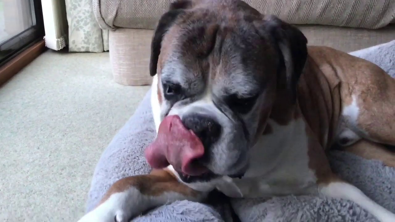 ASMR: relaxing licking sounds