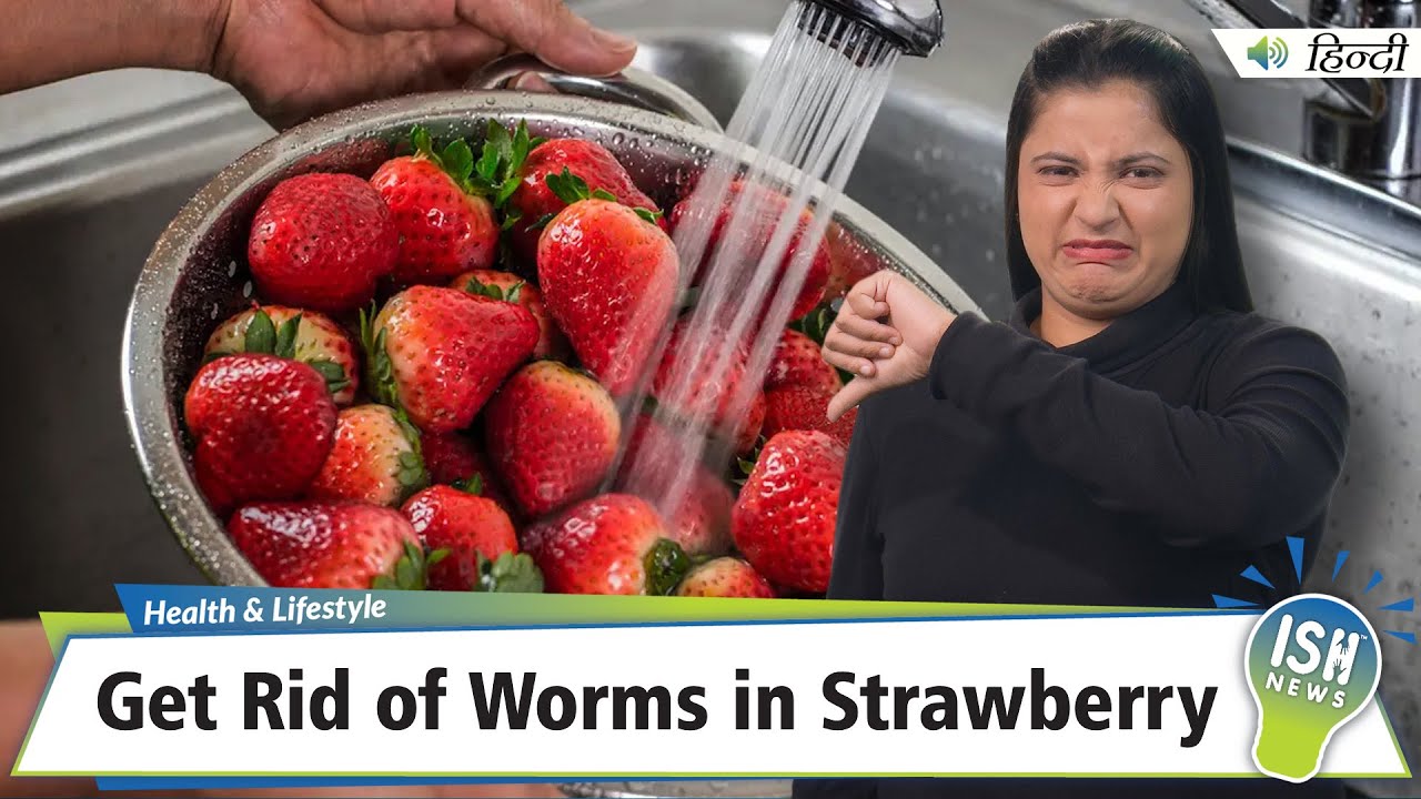 Get Rid of Worms in Strawberry | ISH News