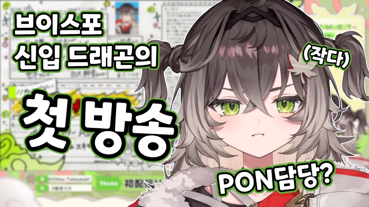 브이스포의 PON드래곤 담당?【타츠마키 치세/브이스포】