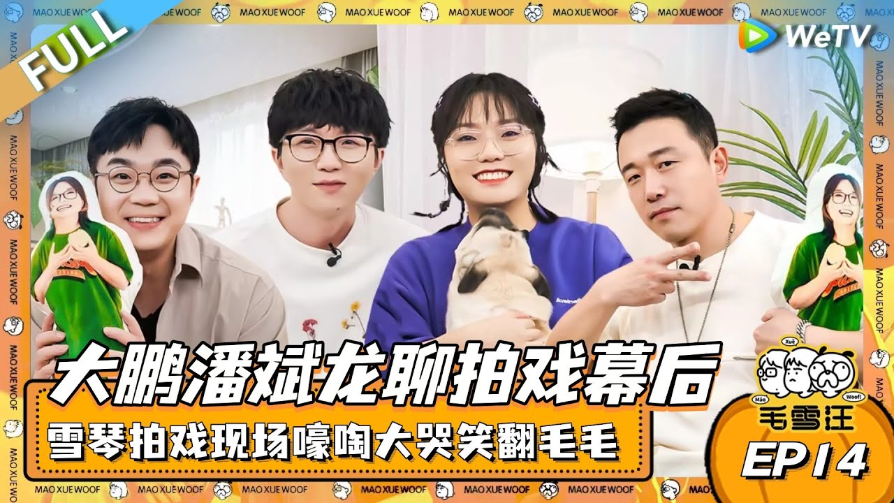 大鹏潘斌龙聊拍戏幕后！李雪琴拍戏现场嚎啕大哭笑翻毛不易！|《毛雪汪》EP14 FULL #综艺  #大鹏 #潘斌龙 #毛不易 #李雪琴 #毛雪汪