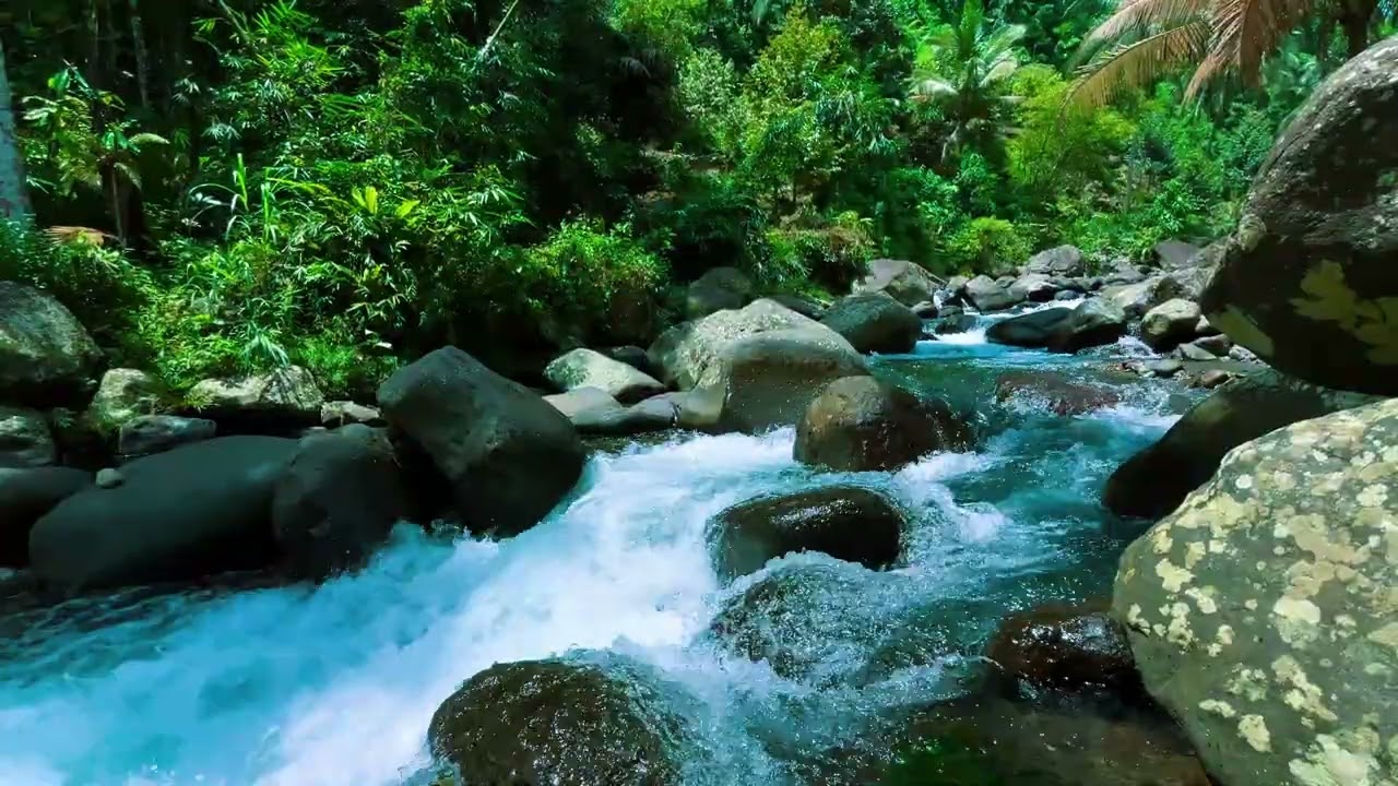 Relaxing River Water Sounds for Anxiety Relief | Forest Birds Ambience