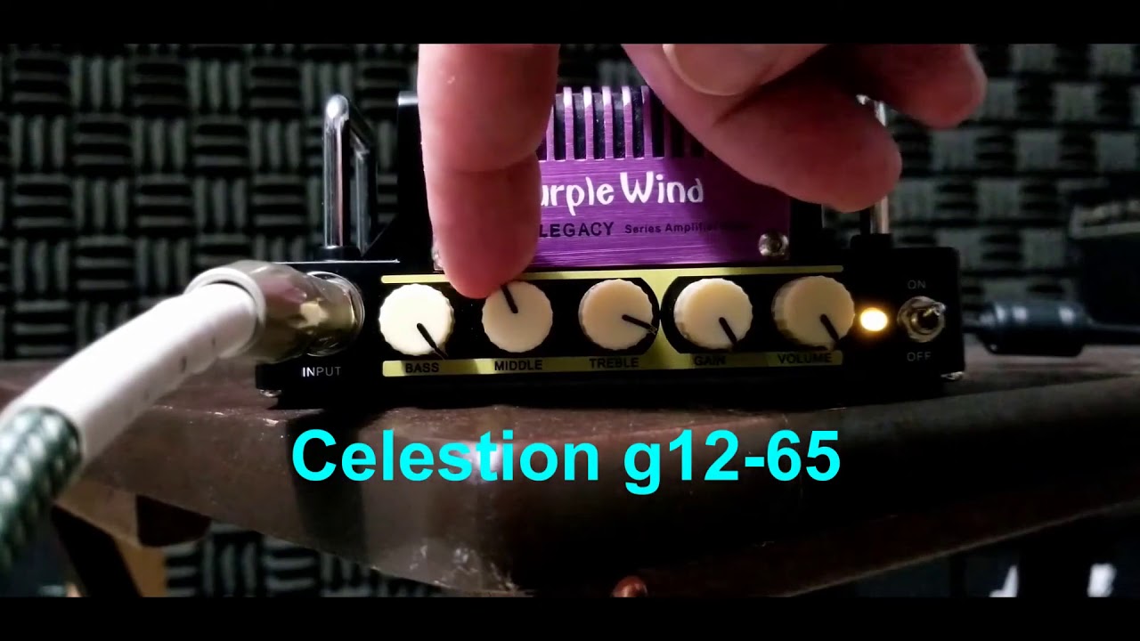 Hotone Purple Wind Amp + Celestion G12 65