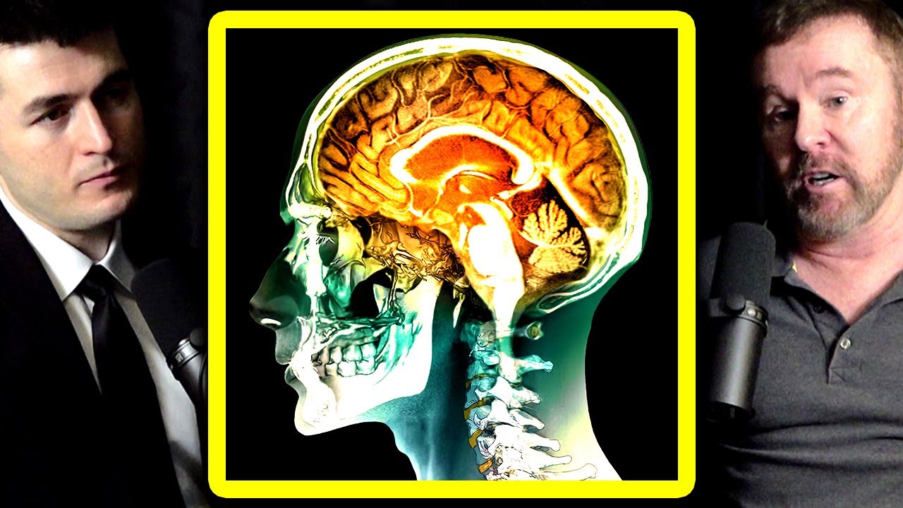 What UFO encounters teach us about the brain | Garry Nolan and Lex Fridman