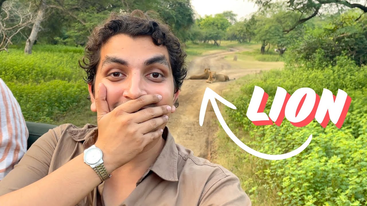 Sasan Gir Jungle Safari Complete information | Online Permit