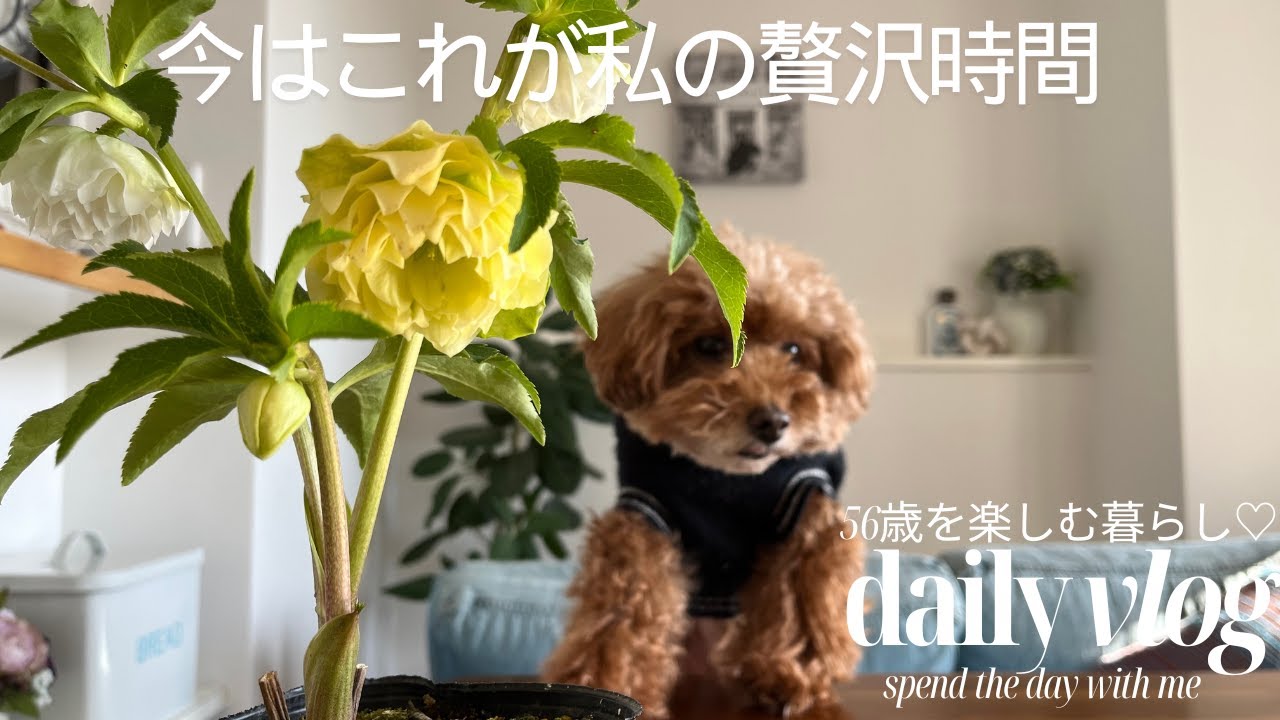 (50代ひとり暮らし)ひとりの時間は空っぽじゃない/私を整える時間
