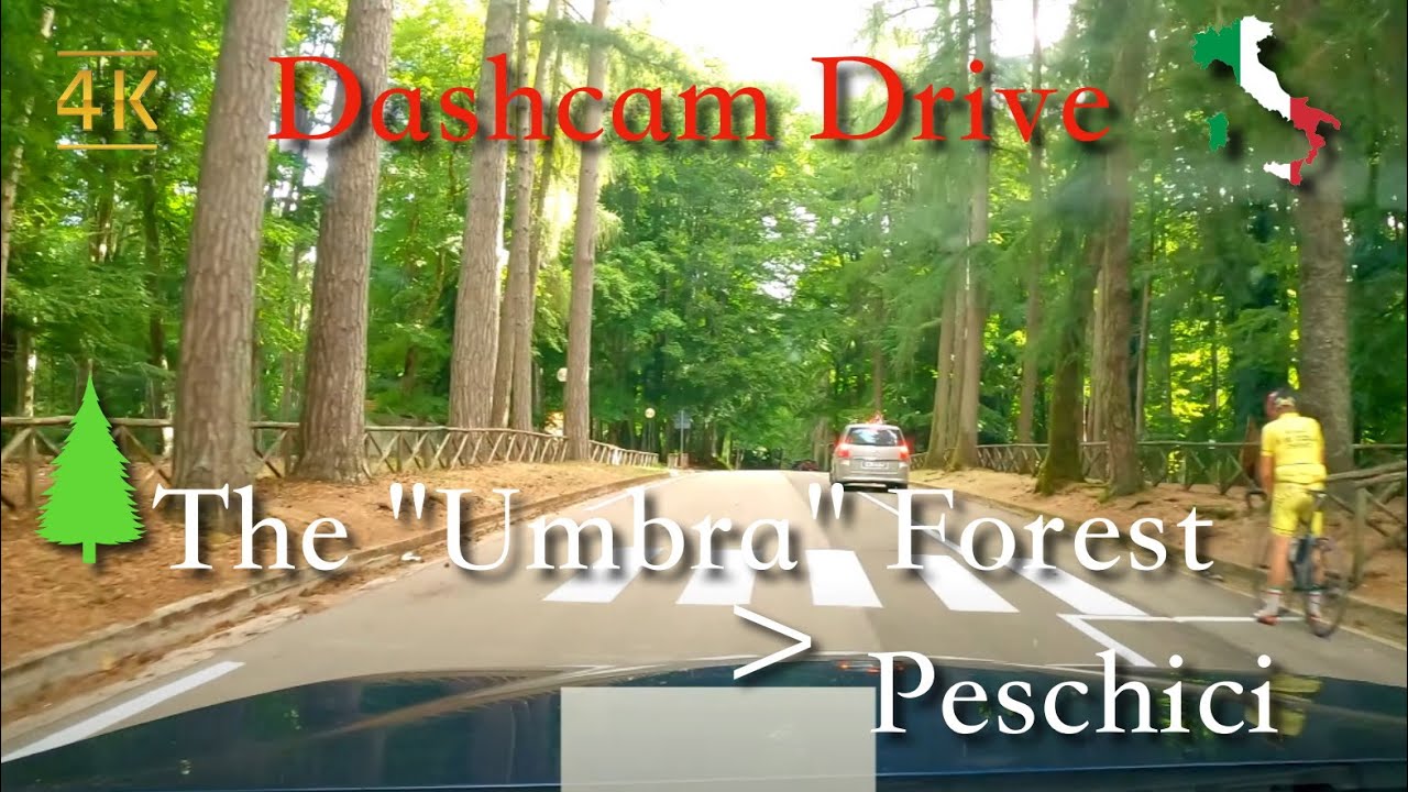 Scenic Drive (Puglia), Italy [Vico del Gargano - Umbra Forest - Peschici] July 2021 | 15:00 | ⛅