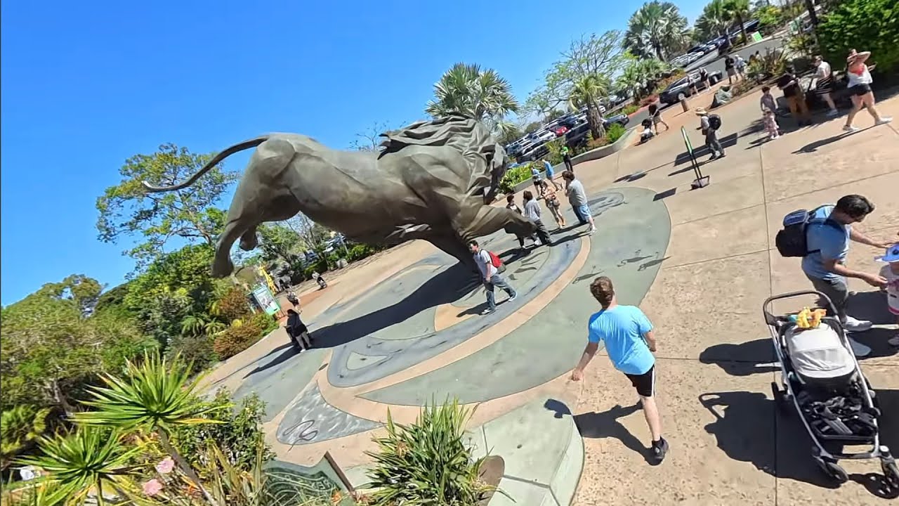 Brief Morning at the World Famous San Diego Zoo 