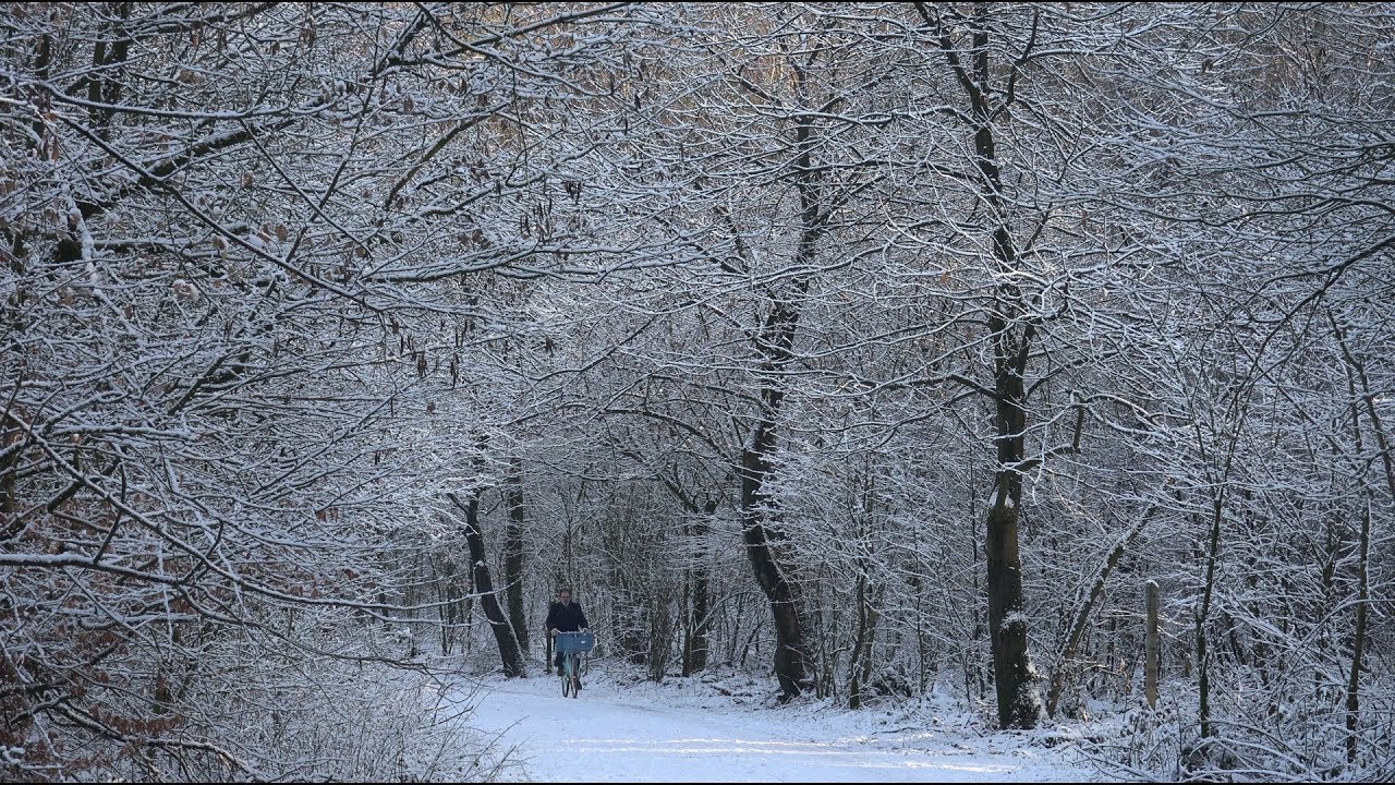 Sneeuw in Hoog-Keppel