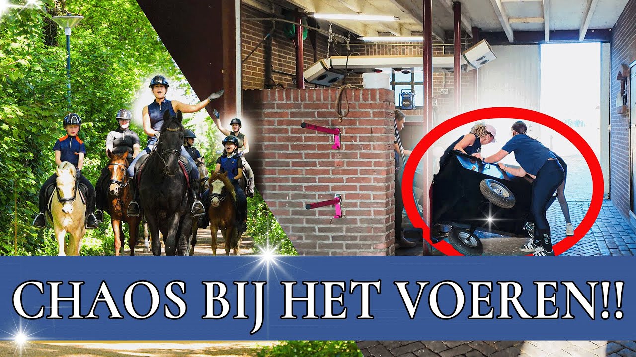 Ponykamp Deel 2: Op buitenrit & Spooktocht!? 🐴 | PaardenpraatTV