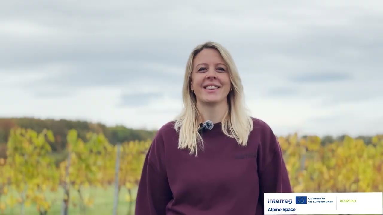 RESPonD Wine Road – Stakeholders, Climate Adaptation & Wine Tourism in Südburgenland