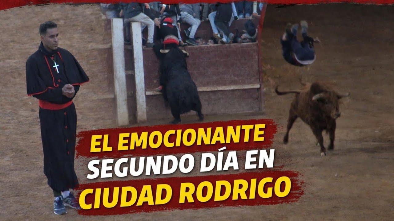 Segunda capea Ciudad Rodrigo 14 Febrero 2026 .. Torazos para el sabado 