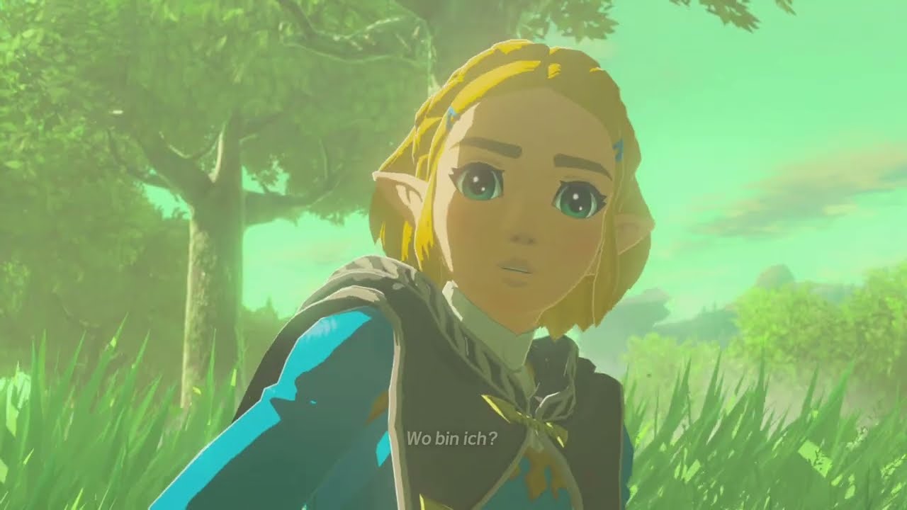 Blick auf die Lichtung #9 - Hyrule Warriors Chronik der Versiegelung
