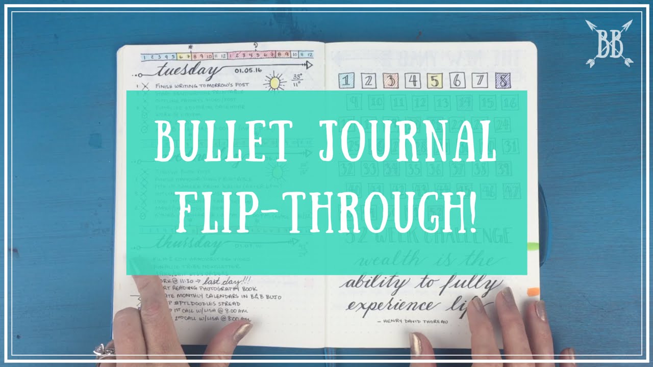 Bullet Journal Flip-through #2!