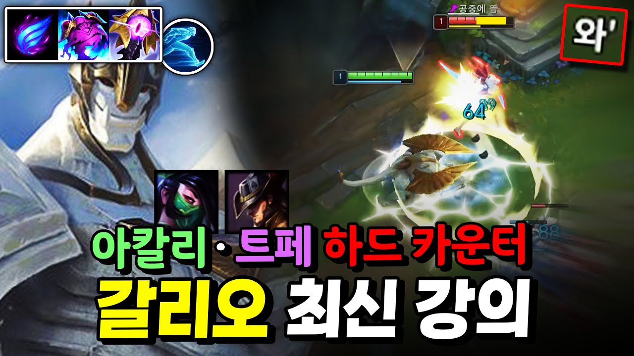 갈리오 하기 전에 무조건 봐야하는 