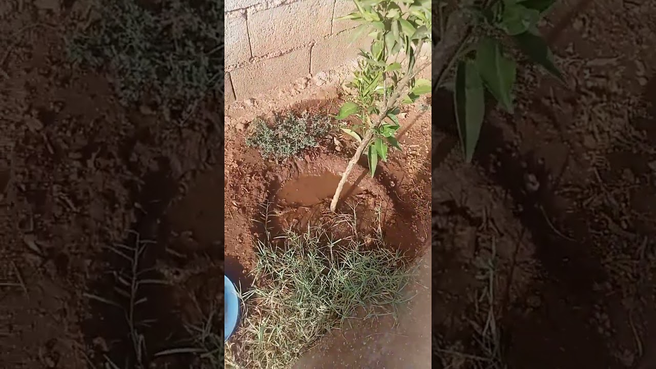 منزل 🏠 للبيع في مدينة فاس عين شقف الرقم هاتف  0670194919