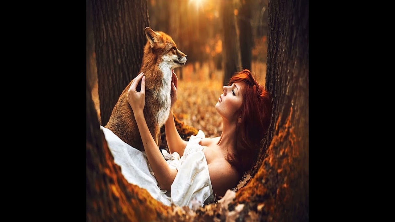 Hedgehogs in Folklore